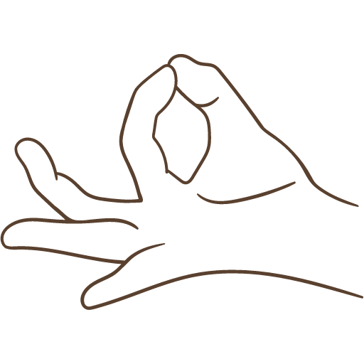 What are Hasta Mudras?