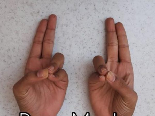 Pran Mudra